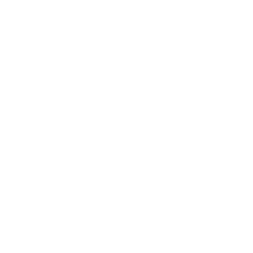 Car key icon