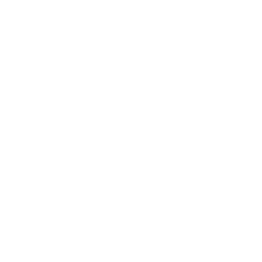 Wegfahrsperre Programmierung